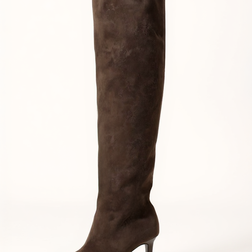 Women's Knee-High Boots - Pointed Toe & Stiletto Heel